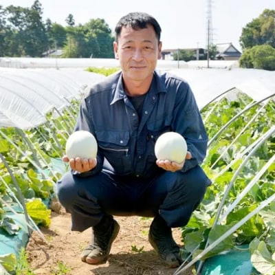 【先行受付】 2027年5月下旬以降発送 プリンスメロン 1箱 約5kg ( 7～8玉入り)