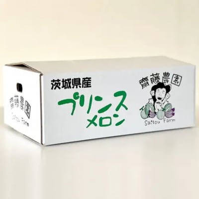 【先行受付】 2027年5月下旬以降発送 プリンスメロン 1箱 約5kg ( 7～8玉入り)