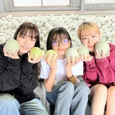【先行受付】 2027年5月下旬以降発送 プリンスメロン 1箱 約5kg ( 7～8玉入り)
