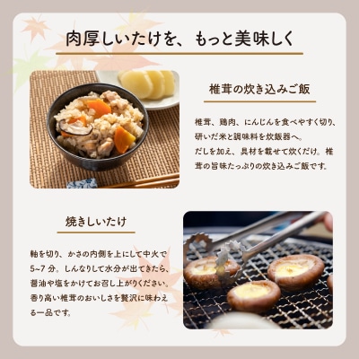 【さとふる限定】肉厚生しいたけ 1.2kg