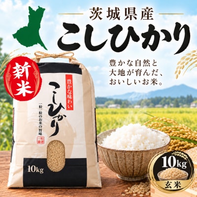 R8年産 茨城県産 新米 コシヒカリ 10kg 玄米 農家直送