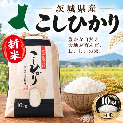 R8年産 茨城県産 新米 コシヒカリ 10kg 白米 農家直送