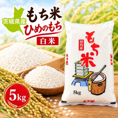 令和8年産 茨城県産 もち米(ひめのもち) 5kg [BG027ya]