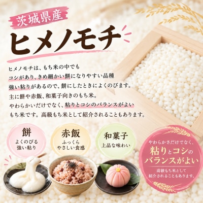 令和8年産 茨城県産 もち米(ひめのもち) 5kg [BG027ya]
