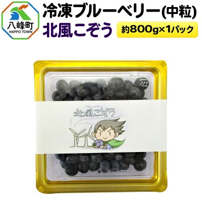 冷凍ブルーベリー(中粒)「北風こぞう」 約800g×1パック|16_aog-020101