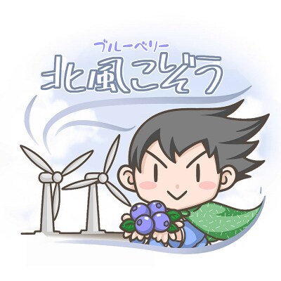 冷凍ブルーベリー(中粒)「北風こぞう」 約800g×1パック|16_aog-020101