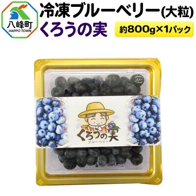 冷凍ブルーベリー(大粒)「くろうの実」 約800g×1パック|16_aog-030101