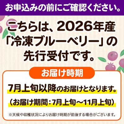 冷凍ブルーベリー(大粒)「くろうの実」 約800g×1パック|16_aog-030101
