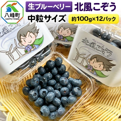 生ブルーベリー(中粒)「北風こぞう」 約100g×12パック|16_aog-041201