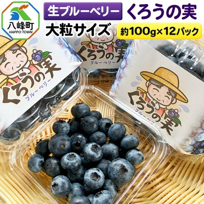 生ブルーベリー(大粒)「くろうの実」 約100g×12パック|16_aog-051201