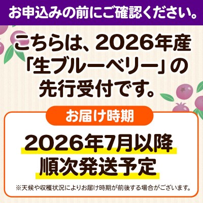 生ブルーベリー(大粒)「くろうの実」 約100g×12パック|16_aog-051201