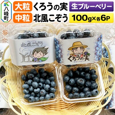 生ブルーベリー(大粒)「くろうの実」&(中粒)「北風こぞう」セット|16_aog-060601