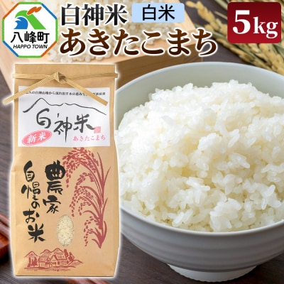 白神米 あきたこまち 秋田県産 5kg【白米】令和7年産|16_ksy-090501