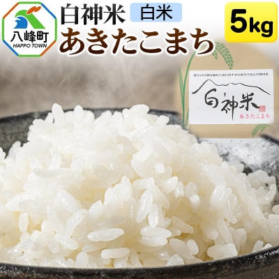 白神米 あきたこまち 秋田県産 5kg【白米】令和7年産|16_ksy-090501