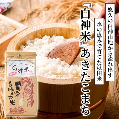 白神米 あきたこまち 秋田県産 5kg【白米】令和7年産|16_ksy-090501