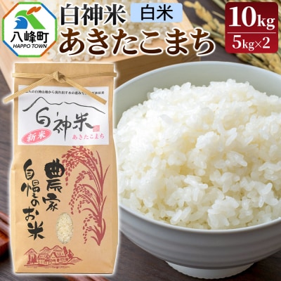 白神米 あきたこまち 秋田県産 10kg【白米】令和7年産|16_ksy-091001