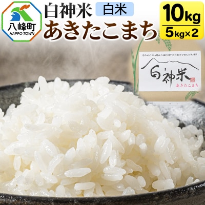 白神米 あきたこまち 秋田県産 10kg【白米】令和7年産|16_ksy-091001
