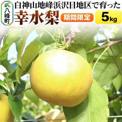 【期間限定】 白神山地峰浜沢目地区で育った和梨「幸水」5kg|16_orh-060501