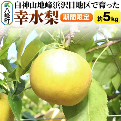 【期間限定】 白神山地峰浜沢目地区で育った和梨「幸水」5kg|16_orh-060501