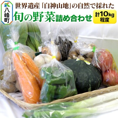 世界遺産「白神山地」の自然で採れた旬の野菜詰め合わせ|16_orh-080101