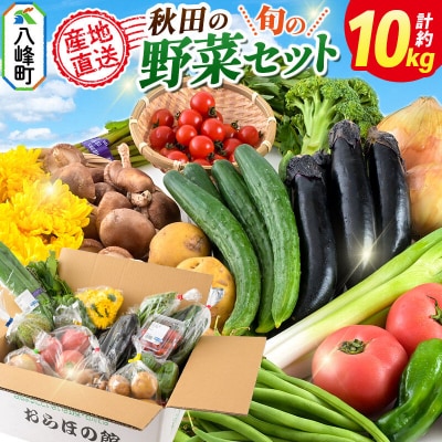 世界遺産「白神山地」の自然で採れた旬の野菜詰め合わせ|16_orh-080101