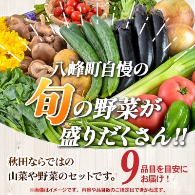 世界遺産「白神山地」の自然で採れた旬の野菜詰め合わせ|16_orh-080101