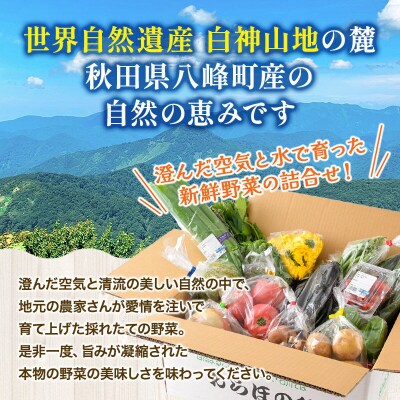 世界遺産「白神山地」の自然で採れた旬の野菜詰め合わせ|16_orh-080101