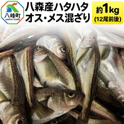 魚 八森産ハタハタ オス・メス混ざり 約1kg(12尾前後) 秋田県産|16_fid-030101