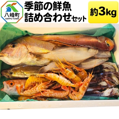 季節の鮮魚詰め合わせセット 約3kg 高級魚 鮮度抜群|16_fid-050101