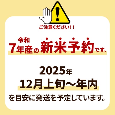 《新米先行受付》あきたこまち 八峰町産 5kg【白米】令和7年産|16_hpn-010501