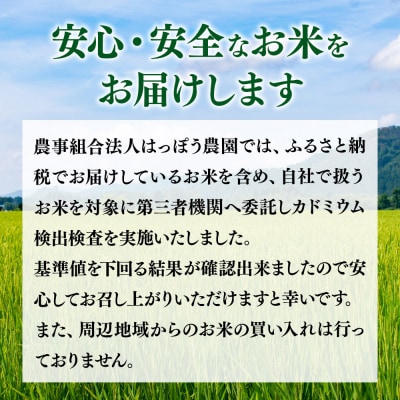 《新米先行受付》あきたこまち 八峰町産 5kg【白米】令和7年産|16_hpn-010501