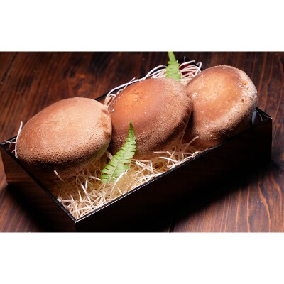 秋田県八峰町産 ブランド椎茸「黒椎茸」3個入×2パック(約540g)|16_rnc-010201