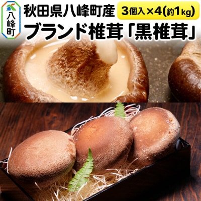 秋田県八峰町産 ブランド椎茸「黒椎茸」3個入×4パック(約1kg)|16_rnc-010401