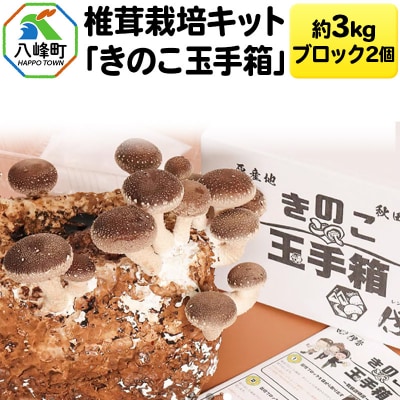 椎茸栽培キット「きのこ玉手箱」約3kg ブロック×2個|16_rnc-020201
