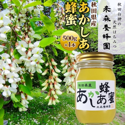 秋田県産はちみつ あかしあ 500g×1本|16_ynm-010101