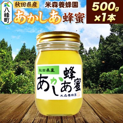 秋田県産はちみつ あかしあ 500g×1本|16_ynm-010101