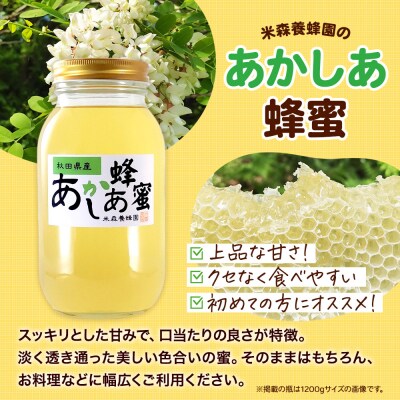 秋田県産はちみつ あかしあ 500g×1本|16_ynm-010101