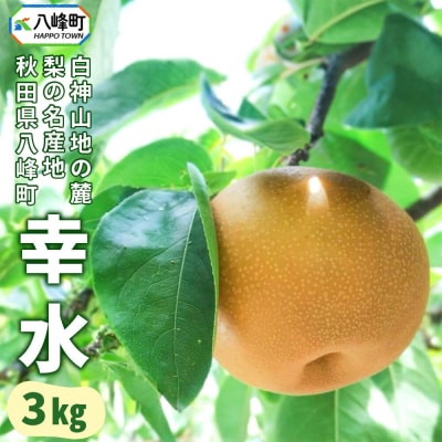 【先行受付】梨 幸水 3kg 白神山地の麓 峰浜の梨 笠原果樹園|16_yhf-010301