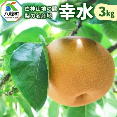 【先行受付】梨 幸水 3kg 白神山地の麓 峰浜の梨 笠原果樹園|16_yhf-010301