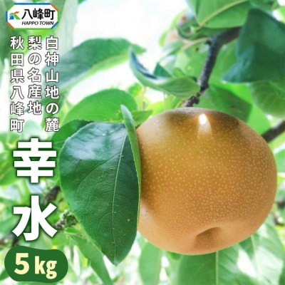 【先行受付】梨 幸水 5kg 白神山地の麓 峰浜の梨 笠原果樹園|16_yhf-010501