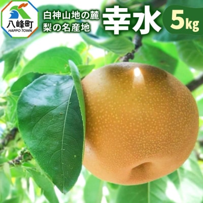【先行受付】梨 幸水 5kg 白神山地の麓 峰浜の梨 笠原果樹園|16_yhf-010501