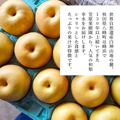 【先行受付】梨 幸水 5kg 白神山地の麓 峰浜の梨 笠原果樹園|16_yhf-010501