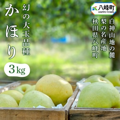 梨 かほり 3kg 白神山地の麓 峰浜の梨 笠原果樹園|16_yhf-020301