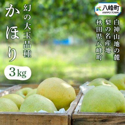 【先行受付】梨 かほり 3kg 白神山地の麓 峰浜の梨 笠原果樹園|16_yhf-020301
