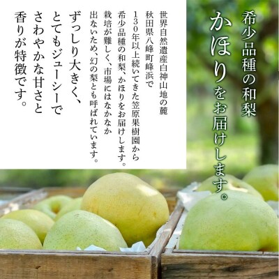 【先行受付】梨 かほり 3kg 白神山地の麓 峰浜の梨 笠原果樹園|16_yhf-020301