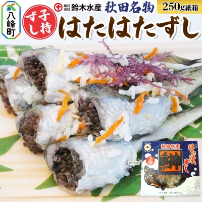 ハタハタ 子持ずし 250g 箱入り|16_szk-110101