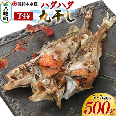 子持 ハタハタ 丸干し 5～7尾前後 500g|16_szk-120101