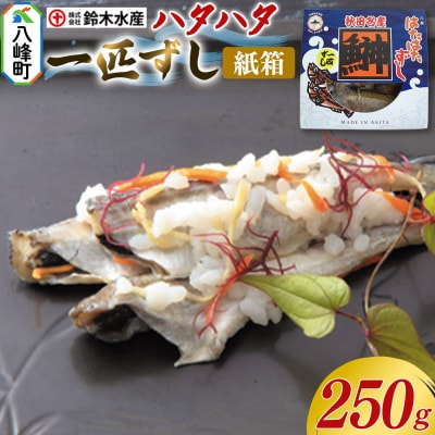 ハタハタ 一匹ずし 250g 箱入り|16_szk-130101
