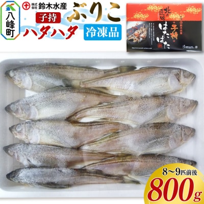子持ち ハタハタ ブリコ ぶりこ メス 800g(8～9匹前後)冷凍品|16_szk-140101