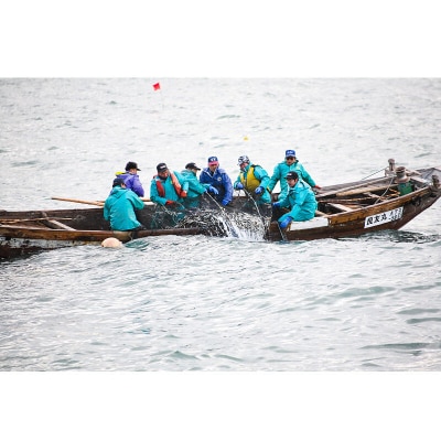 子持ち ハタハタ ブリコ ぶりこ メス 800g(8～9匹前後)冷凍品|16_szk-140101